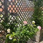 Le Patio Pere Pigne Guestroom B&B 4*