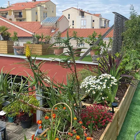 Le Patio Pere Pigne Guestroom 4* ペルピニャン