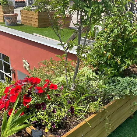 Bed & Breakfast Le Patio Pere Pigne Guestroom Perpignan