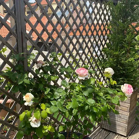 Le Patio Pere Pigne Guestroom ベッド・アンド・ブレックファスト 4*