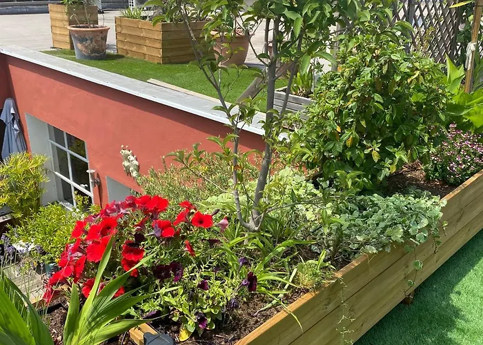 فندق مبيت وإفطار Le Patio Pere Pigne Guestroom بيربينيو