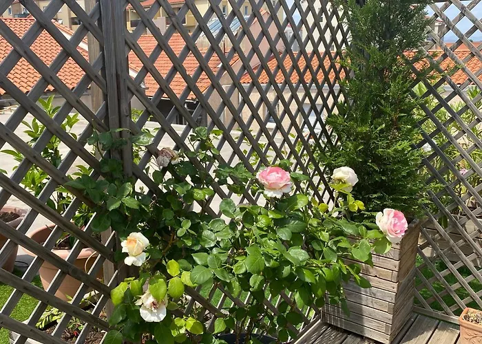 Le Patio Pere Pigne Guestroom Nocleg ze śniadaniem 4*